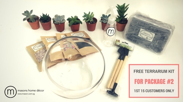 Free Terrarium Kit for Package #2 - 1st 15 Customers Only