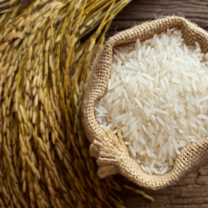 The Value of Rice in Japan