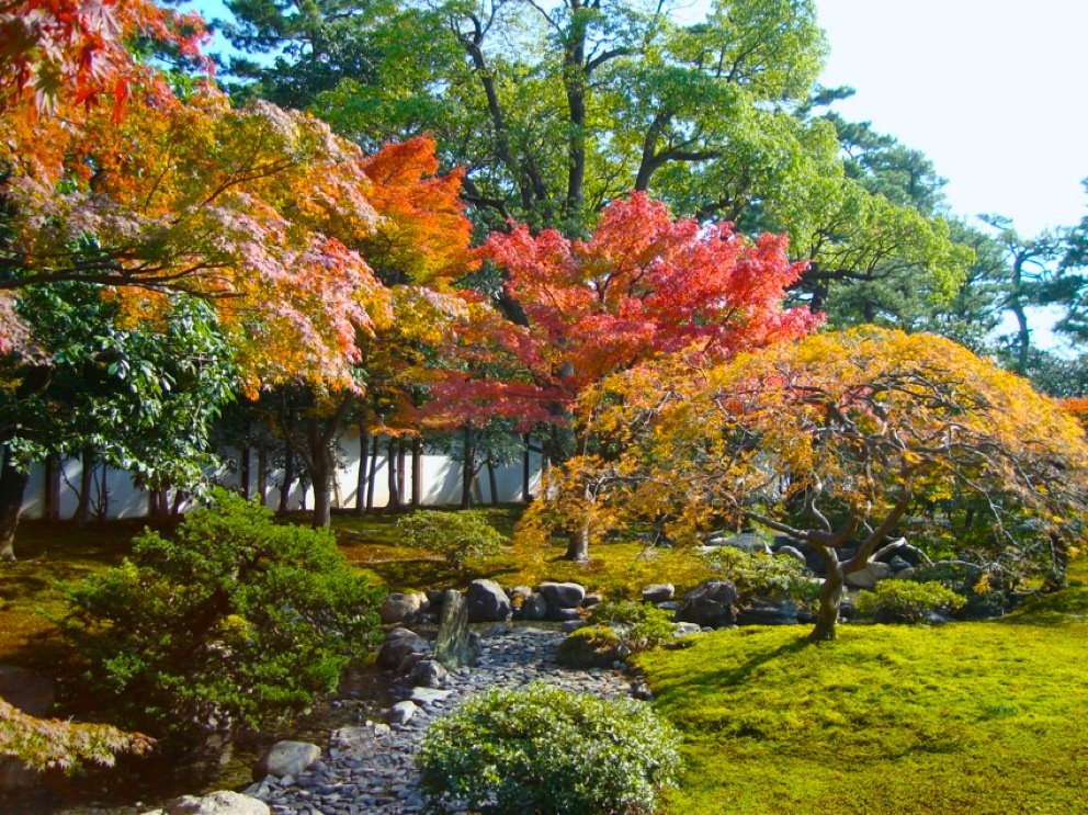 Kyoto Gyoen