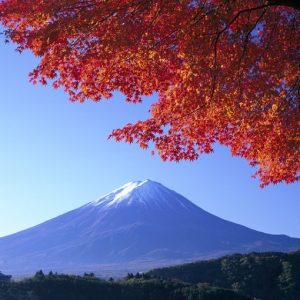 Top 5 Places To Visit in Japan During Autumn