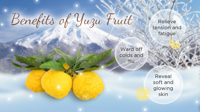 Yuzu Sento Onsen Promotion - Benefit of Yuzu