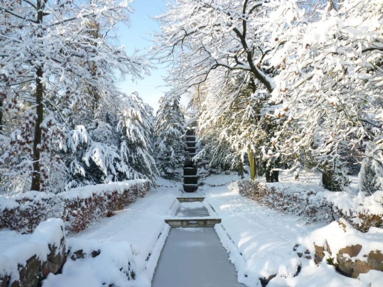 Dong Zhi: Japan vs Singapore