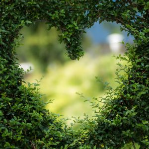 Valentines 2017: 7 Ideas for Single Chicks