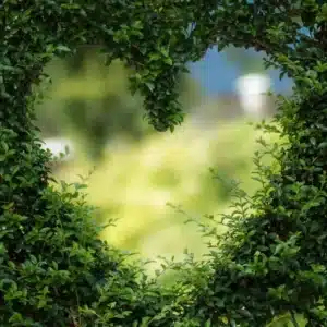 Valentine’s 2017: 7 Ideas for Single Chicks
