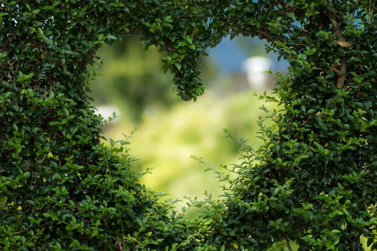 Valentines 2017: 7 Ideas for Single Chicks