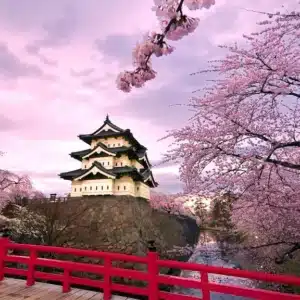 5 Activities to Do in Japan During Spring