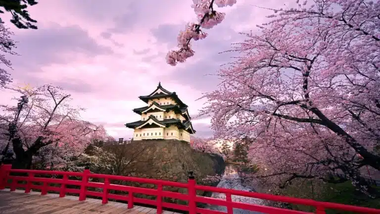 5 Activities to Do in Japan During Spring