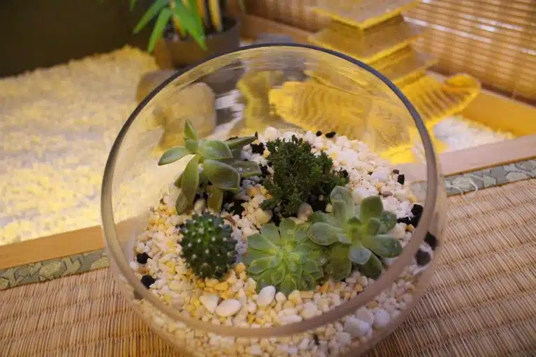 A glass bowl filled with small succulents and cacti, set in white pebbles, placed on a woven mat—a perfect Mother's Day present, thoughtfully arranged against a blurred decorative background.