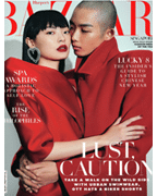 Harper's Bazaar Press Cover