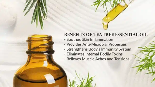 Amber glass bottle with dropper and green herbs beside a list of tea tree essential oil benefits, including soothing skin inflammation and providing powerful anti-microbial properties.