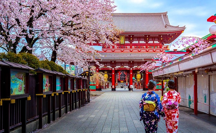 Two people in traditional clothing walk towards a large red temple gate, surrounded by cherry blossom trees in full bloom. The street, accessible with a JR Pass, is lined with closed market stalls.