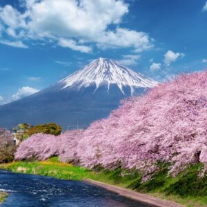 Top 10 Non-Touristy Places to View Mount Fuji (Shizuoka Guide)