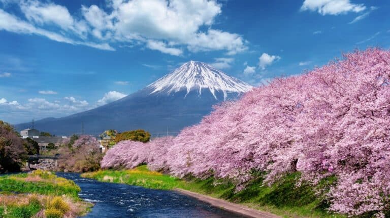 Top 10 Non-Touristy Places to View Mount Fuji (Shizuoka Guide)