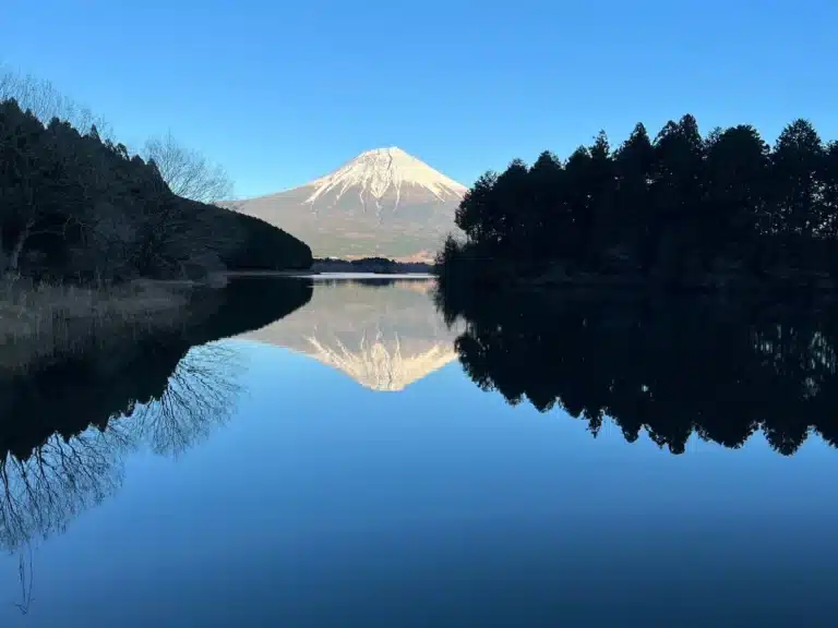 Mount Fuji towers majestically, its reflection shimmering in a calm lake surrounded by trees beneath a clear blue sky.