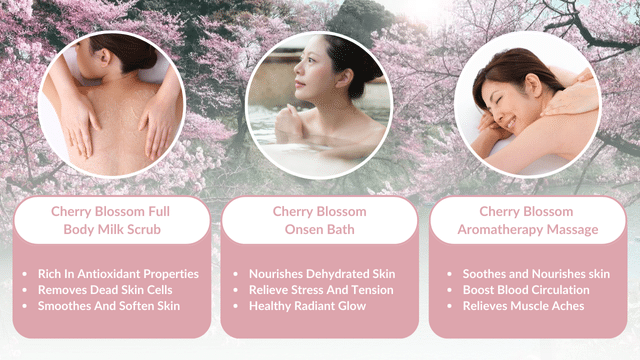 Discover our Spring Spa Promotion showcasing three rejuvenating beauty treatments: the Cherry Blossom Full Body Milk Scrub, Cherry Blossom Onsen Bath, and Cherry Blossom Aromatherapy Massage, each offering unique benefits for a revitalizing experience.