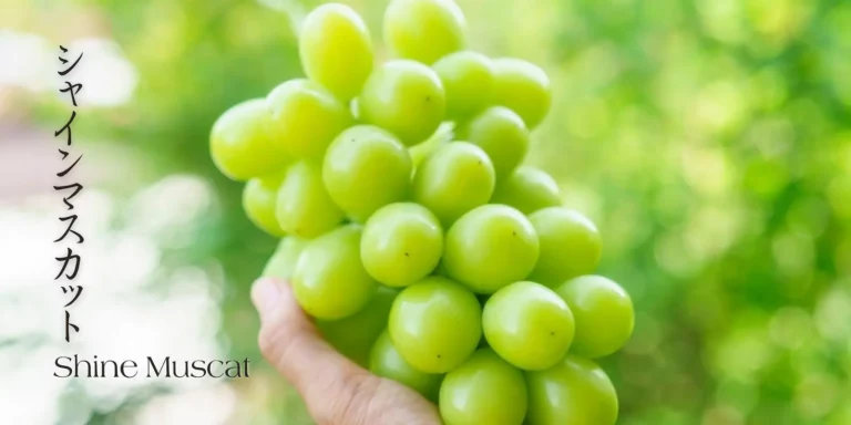 Shine Muscat Grapes