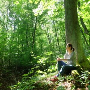 Forest Bathing Guide for Singaporean – What, Where & How?