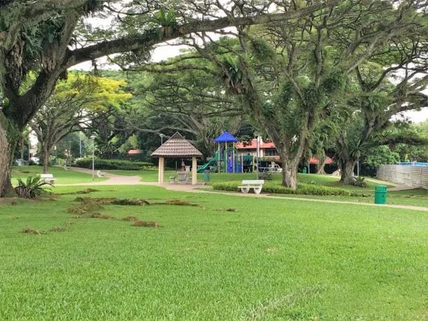 A serene park scene with lush green grass, large trees perfect for forest bathing, a playground with blue and yellow equipment, a small pavilion, and a white bench. Pathways connect various parts of the park.