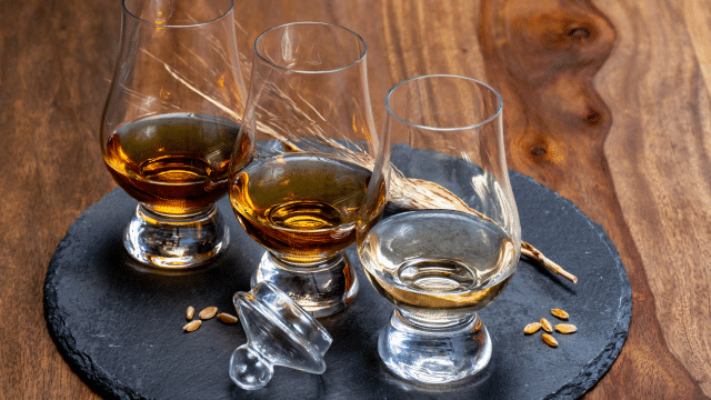 Three glasses of whiskey sit on a slate plate, accompanied by barley grains and a spill-proof cap.