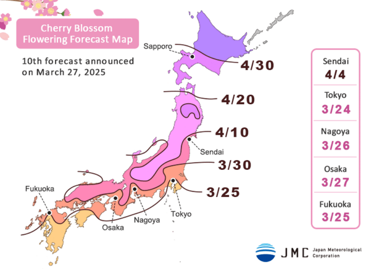 Map of Japan illustrating the cherry blossom forecast for 2025. Dates range from 3/24 in Tokyo to 4/30 in Sapporo, with varying shades indicating the flowering progress by region.