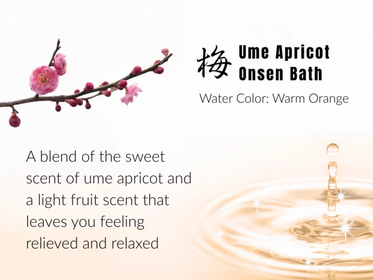 A branch of pink ume blossoms on the left, text about ume apricot onsen bath and Spring spa promotion on the right, with a rippling drop of water at the bottom right.