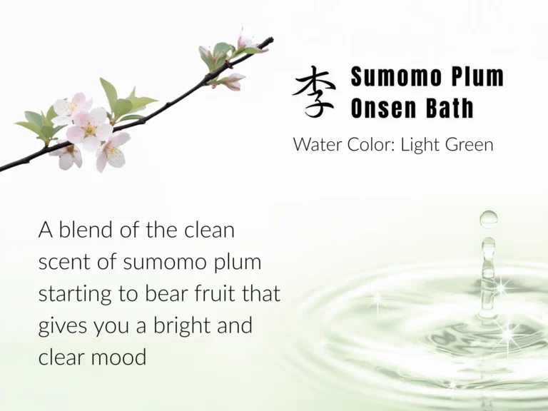 A branch with sumomo plum blossoms and a water ripple, alongside text describing a sumomo plum onsen bath with a clean scent and light green colour—perfect for a refreshing Spring spa promotion.