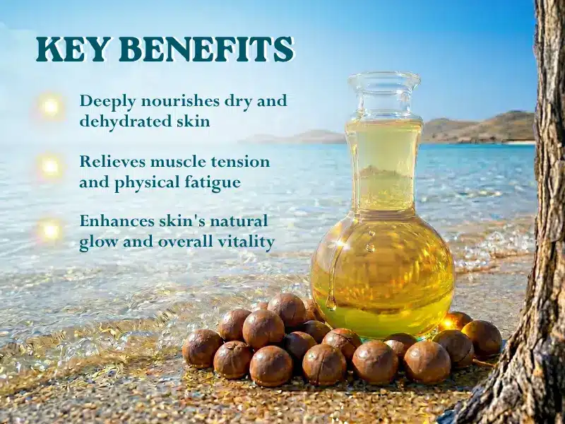 A glass bottle of oil and macadamia nuts on a beach highlights skin and muscle benefits—perfect for a summer spa promotion.