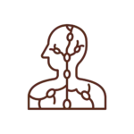 Simple line drawing of a human upper body and head, highlighting the lymphatic system with nodes and vessels.