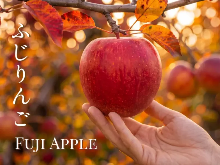 A hand holds a red Fuji Apple on a tree with autumn leaves. Japanese text and the words “Fuji Apple” appear on the left, evoking freshness and vitality—just like indulging in seasonal spa offers.