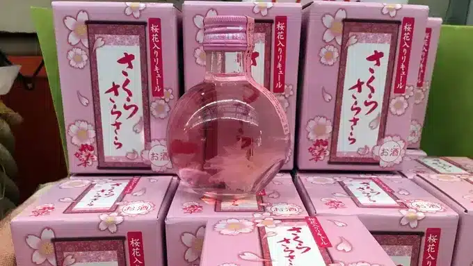 A round bottle of pink liquid with a cherry blossom inside is displayed on stacked pink boxes adorned with Japanese writing, cherry blossom designs, and a nod to the cherry blossom forecast.