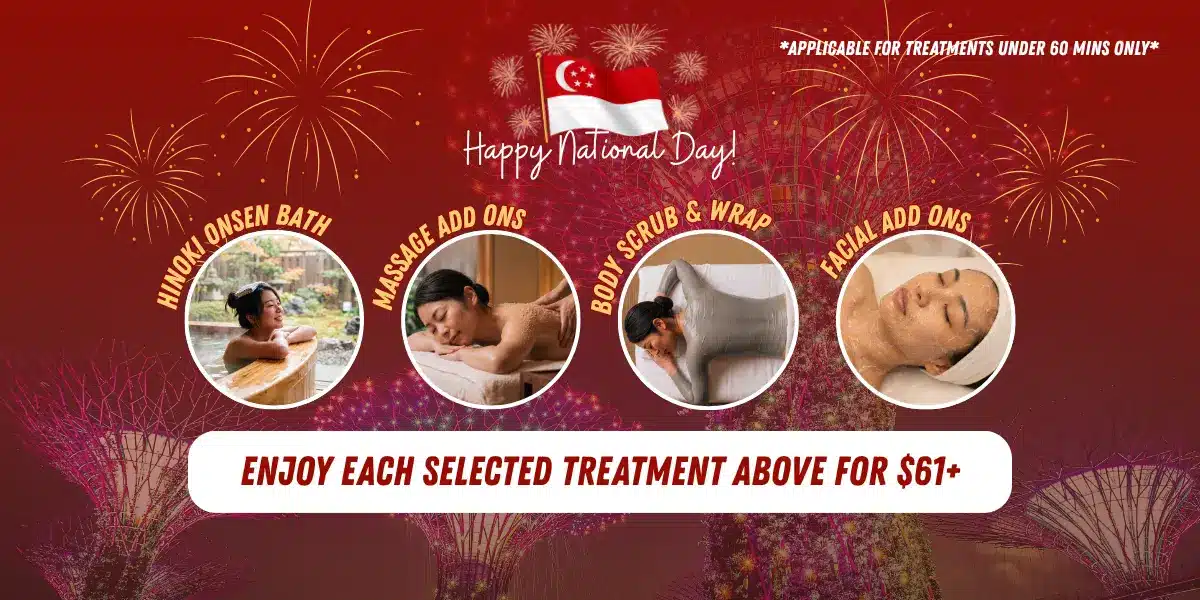 SG 61 NDP Flash Deal